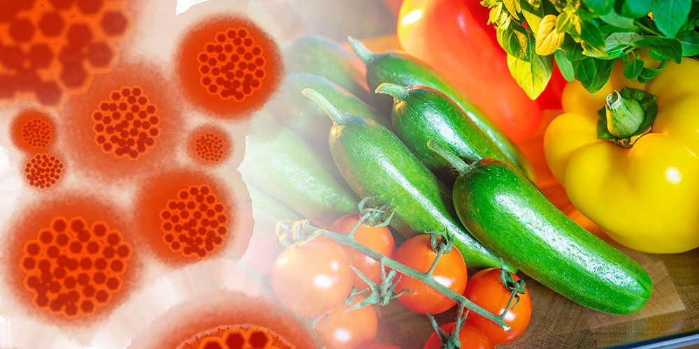 Coronavirus: cosa mangiare per rafforzare il sistema immunitario