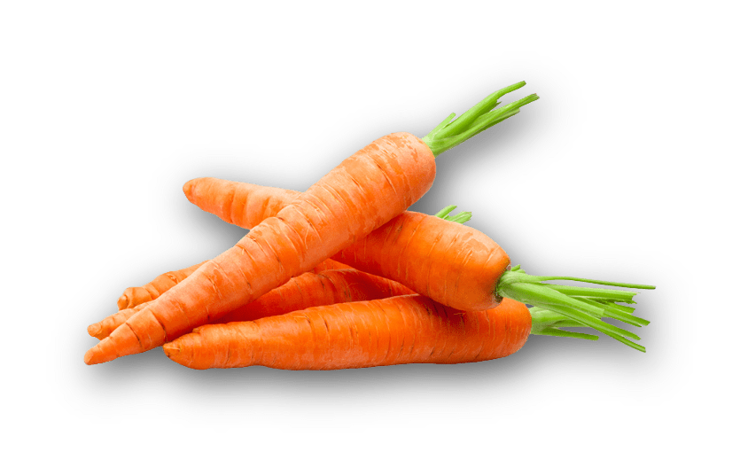 carote-min.png (79 KB)