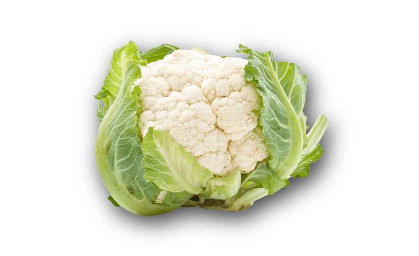 cavolfiore-min.png (99 KB)