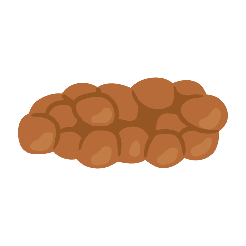 tipo_feci_02.png (20 KB)