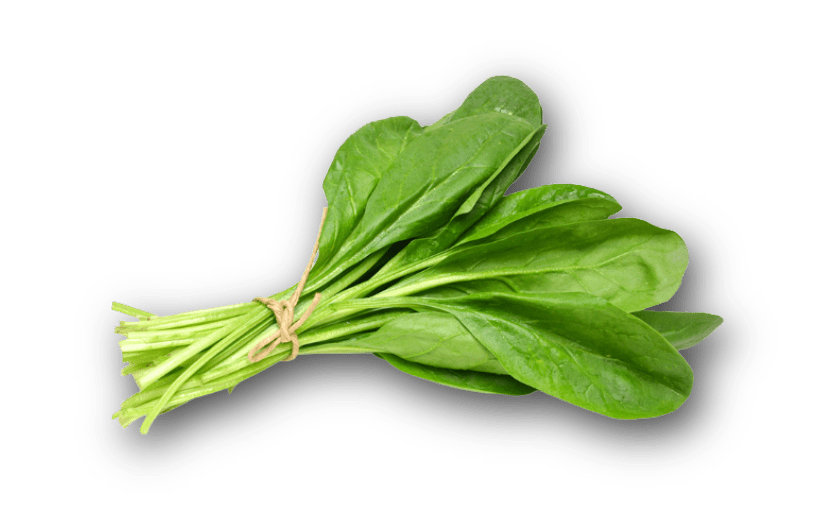 spinaci-min.png (85 KB)