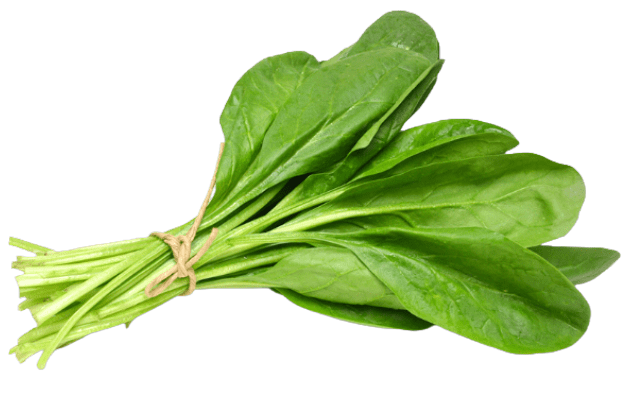 spinaci-min.png