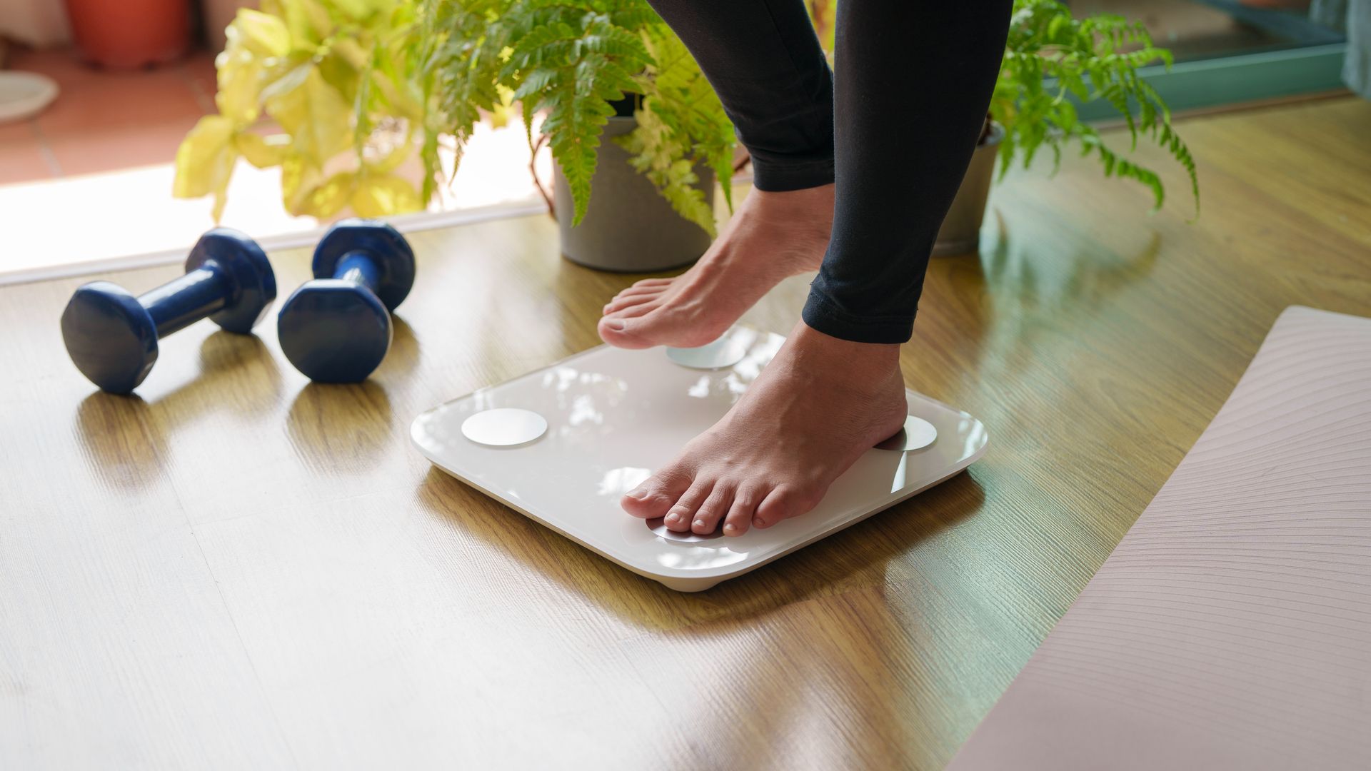 Perdere 5 kg: come farlo in modo sano e realistico