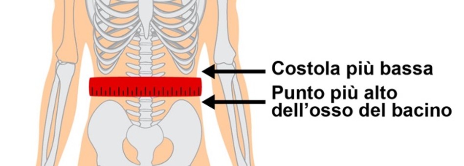 sindrome_metabolica_engp.jpg (51 KB)