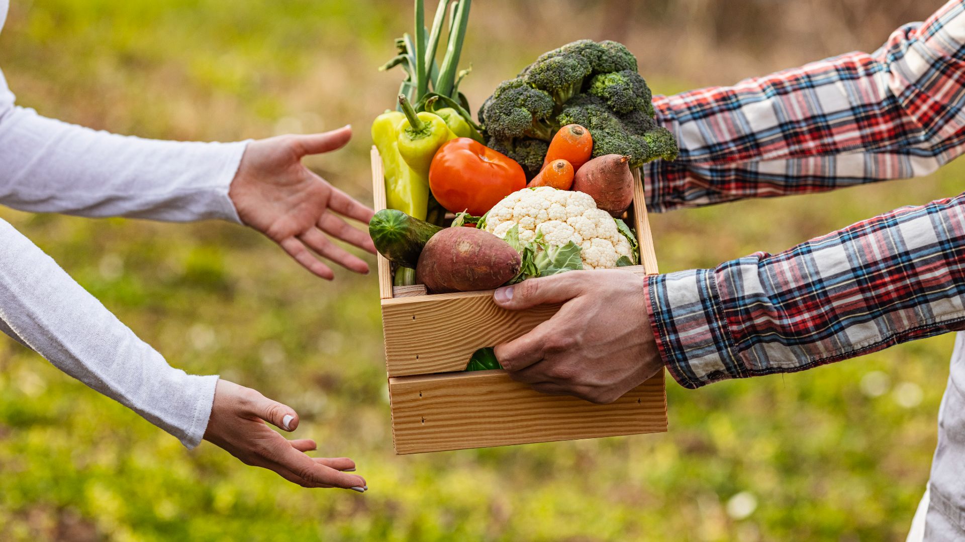 Verdure di stagione: proprietà, benefici e stagionalità