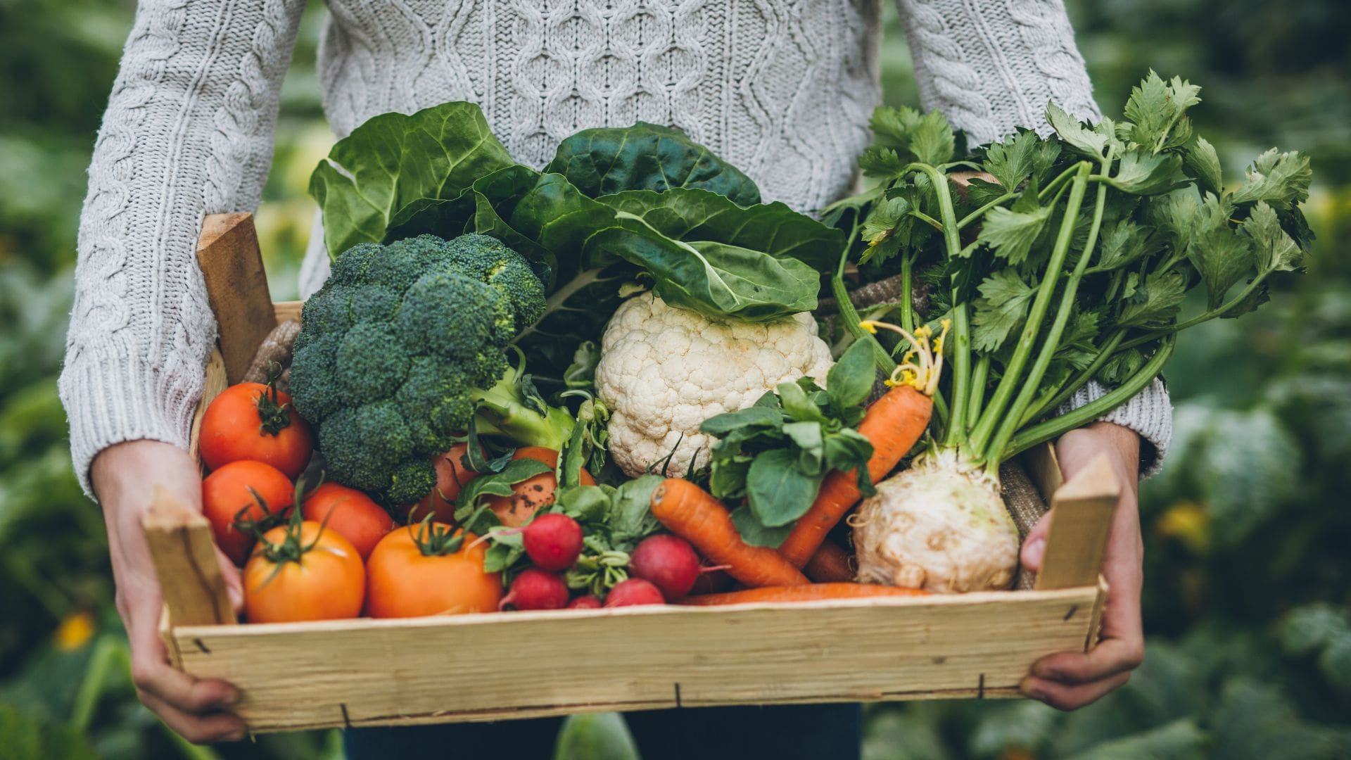 Verdure: perché mangiarle fa bene alla salute? 