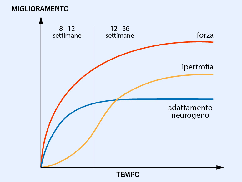 Sovraccarichi-01.jpg (100 KB)