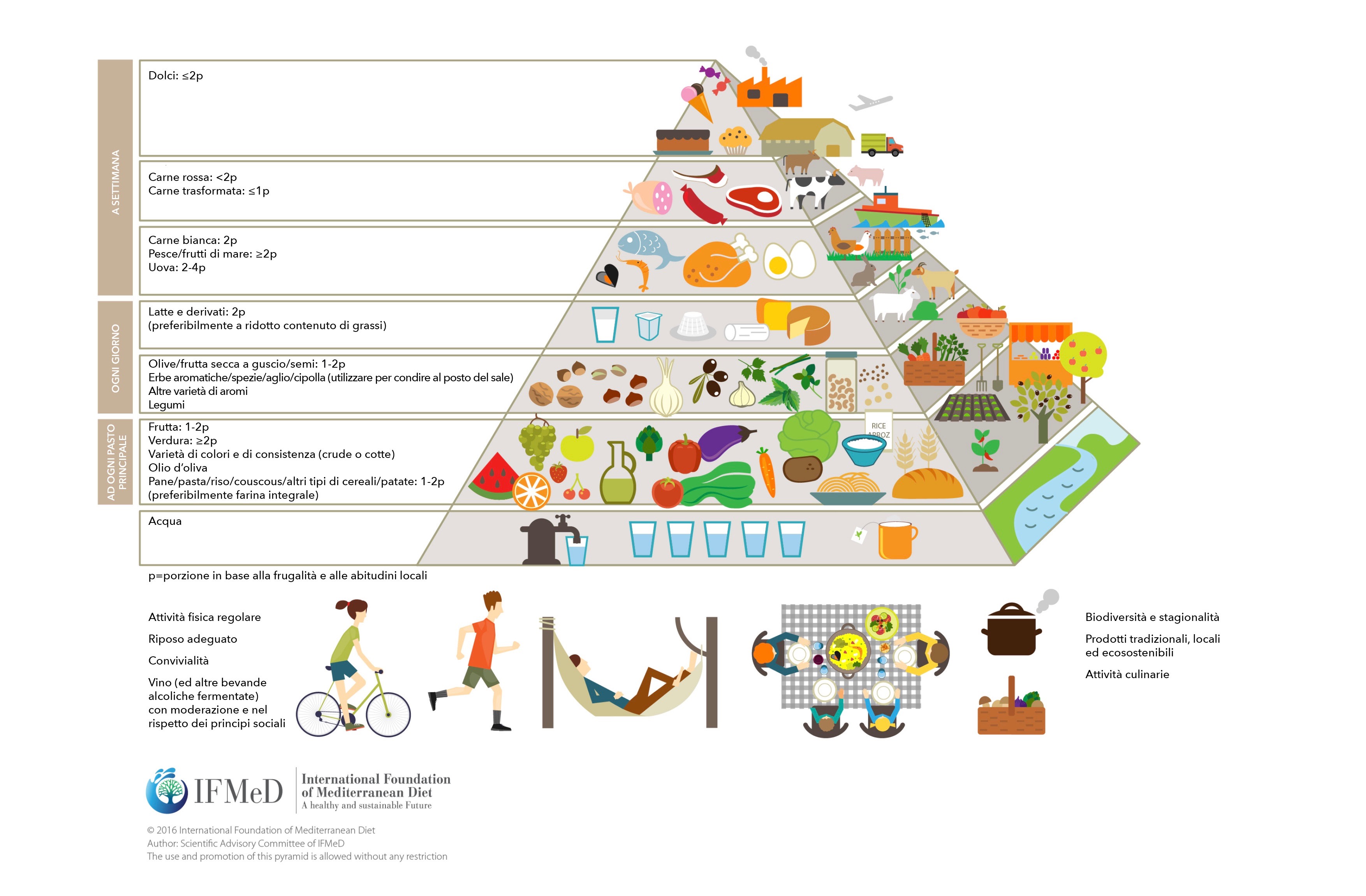 piramide_alimentare.jpg (813 KB)